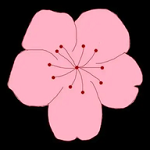 WWW,444ppp·COM网站APPAPP应用